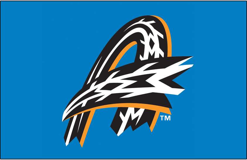 Akron RubberDucks 2014-Pres Cap Logo 3 iron on paper